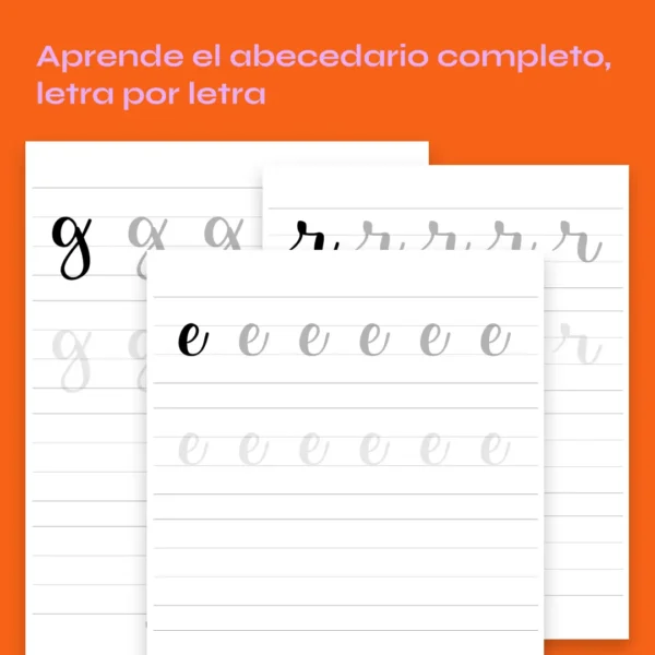 Workbook: Lettering desde cero